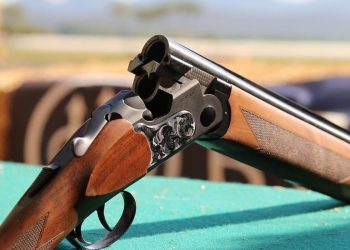 Anatomia fucile da tiro: regole e istruzioni d'uso